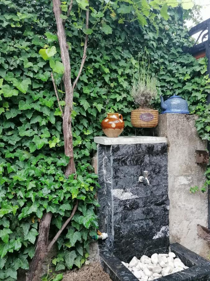 Autograph Boutique Home 9 博尔若米 外观 照片